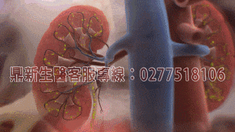 鼎新生醫巔峰之作—壯陽NO.1全球唯一一款性腺同治康復攝護腺的同時恢復性功能，自然二次發育，更大、更硬、更久、更爽它真正做到了不上火 、不頭暈 、不透支、 無任何副作用 (12).gif