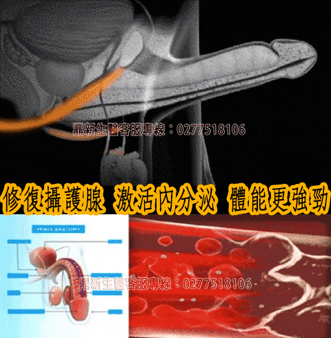 鼎新生醫巔峰之作—壯陽NO.1全球唯一一款性腺同治康復攝護腺的同時恢復性功能，自然二次發育，更大、更硬、更久、更爽它真正做到了不上火 、不頭暈 、不透支、 無任何副作用 (13).gif