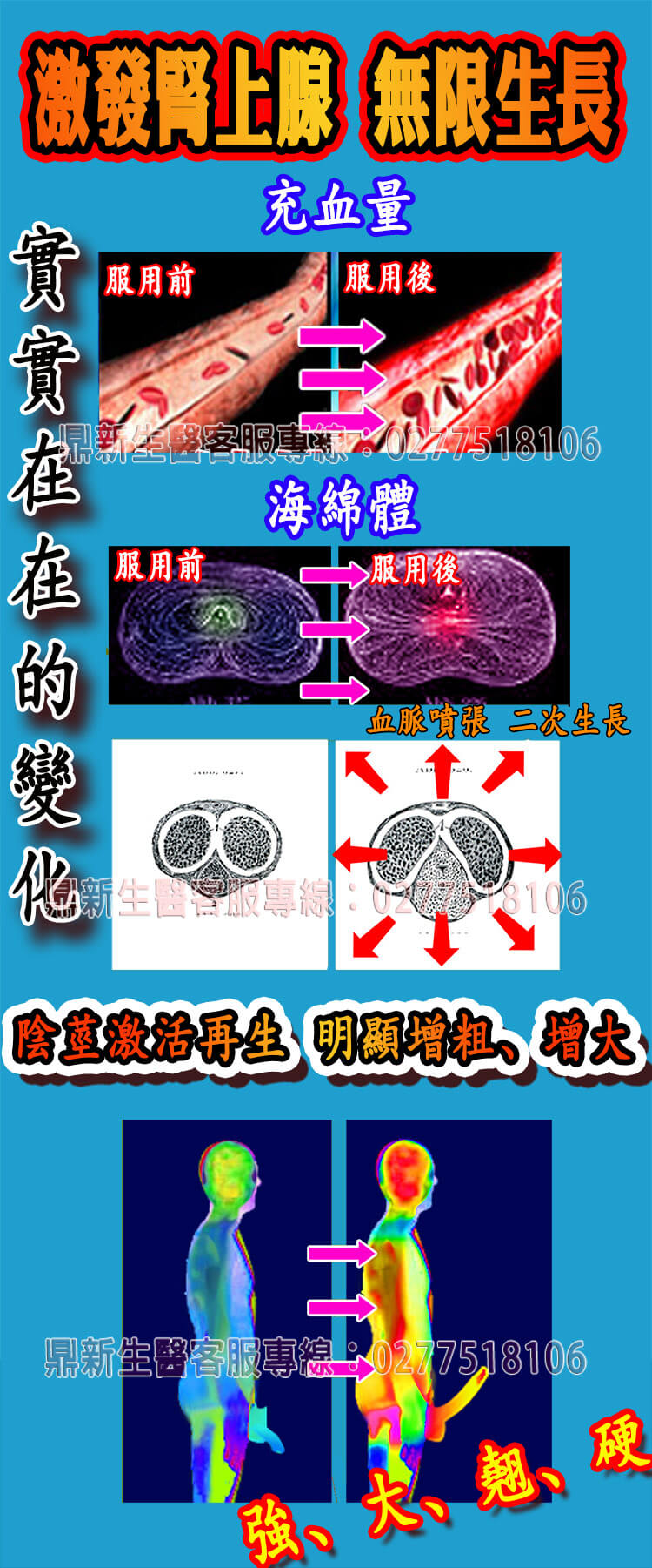 鼎新生醫巔峰之作—壯陽NO.1全球唯一一款性腺同治康復攝護腺的同時恢復性功能，自然二次發育，更大、更硬、更久、更爽它真正做到了不上火 、不頭暈 、不透支、 無任何副作用 (13).jpg